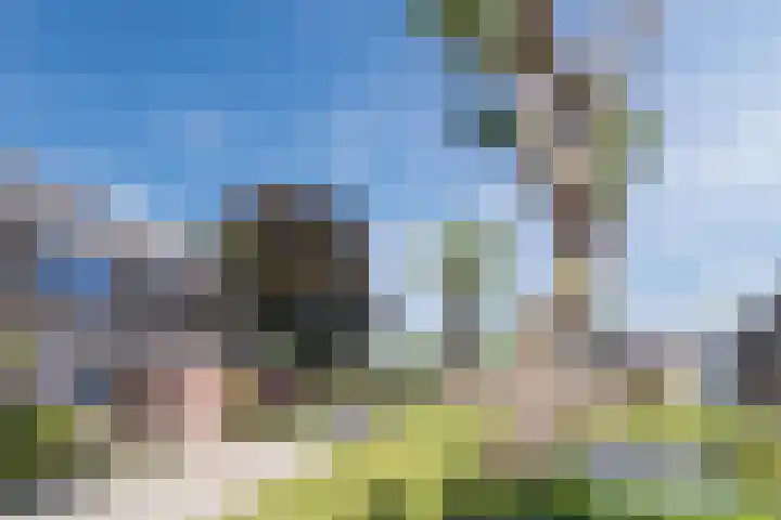 Mondriaanplantsoen 1 Hazerswoude-Dorp thumbnail 50