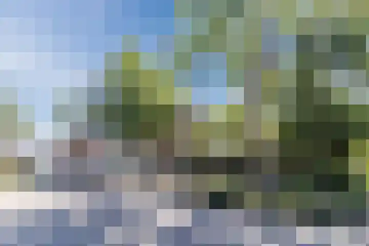 Mondriaanplantsoen 1 Hazerswoude-Dorp thumbnail 52