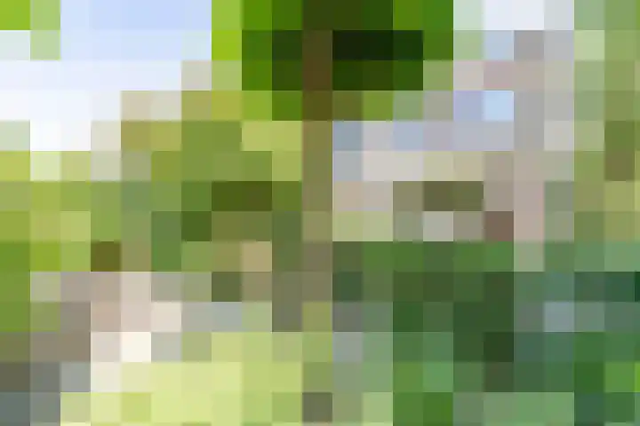 Mondriaanplantsoen 17 Hazerswoude-Dorp thumbnail 15