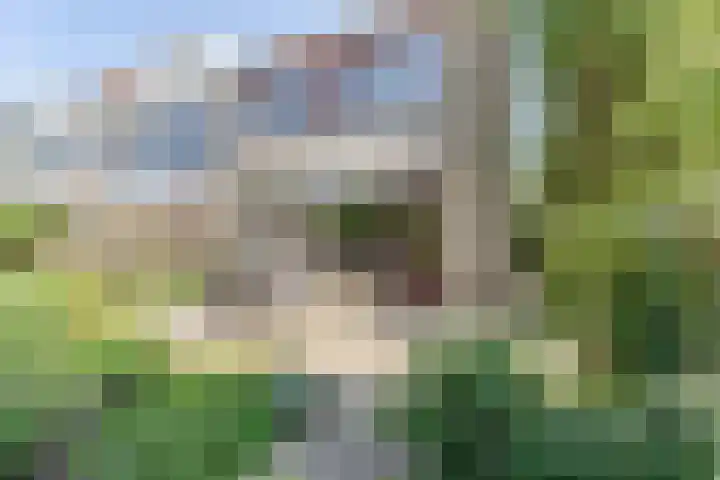 Mondriaanplantsoen 17 Hazerswoude-Dorp thumbnail 16
