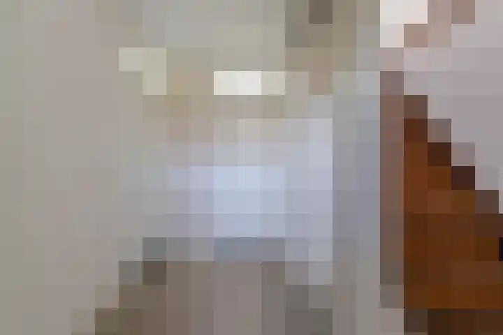 Mondriaanplantsoen 17 Hazerswoude-Dorp thumbnail 17