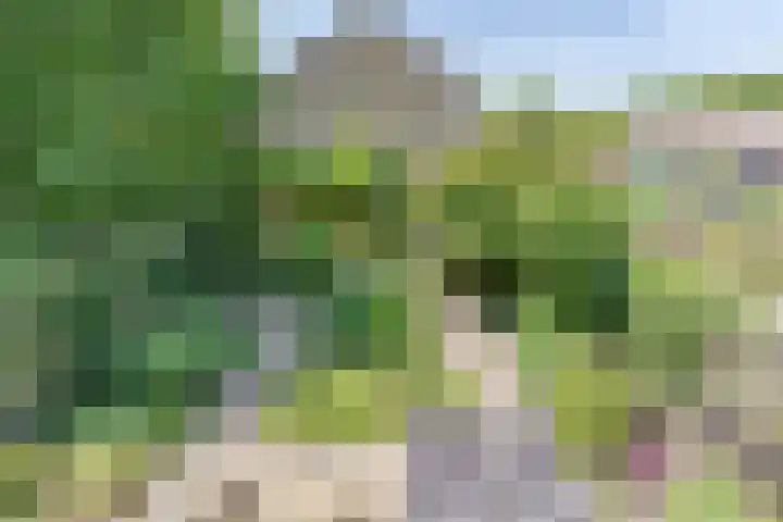 Mondriaanplantsoen 17 Hazerswoude-Dorp thumbnail 23