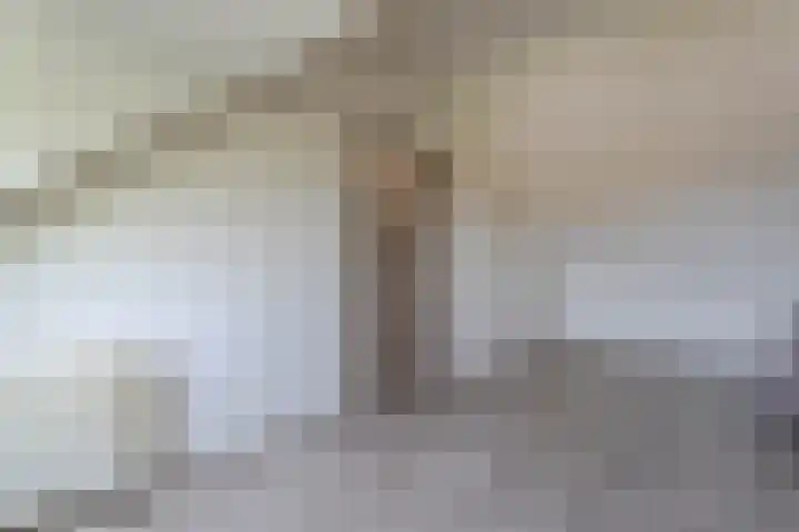 Mondriaanplantsoen 17 Hazerswoude-Dorp thumbnail 28