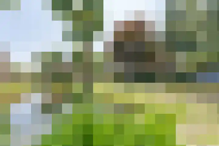 Mondriaanplantsoen 17 Hazerswoude-Dorp thumbnail 30