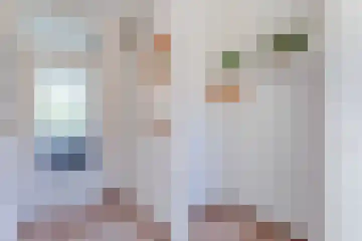 Mondriaanplantsoen 17 Hazerswoude-Dorp thumbnail 5