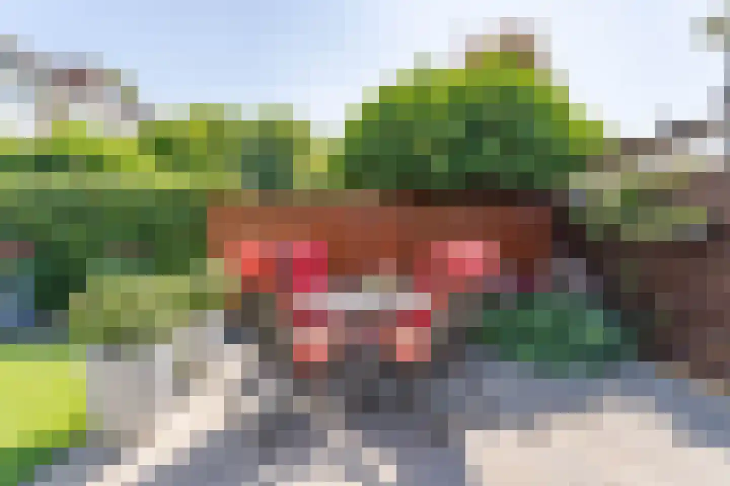 Mondriaanplantsoen 9 Hazerswoude-Dorp thumbnail 29