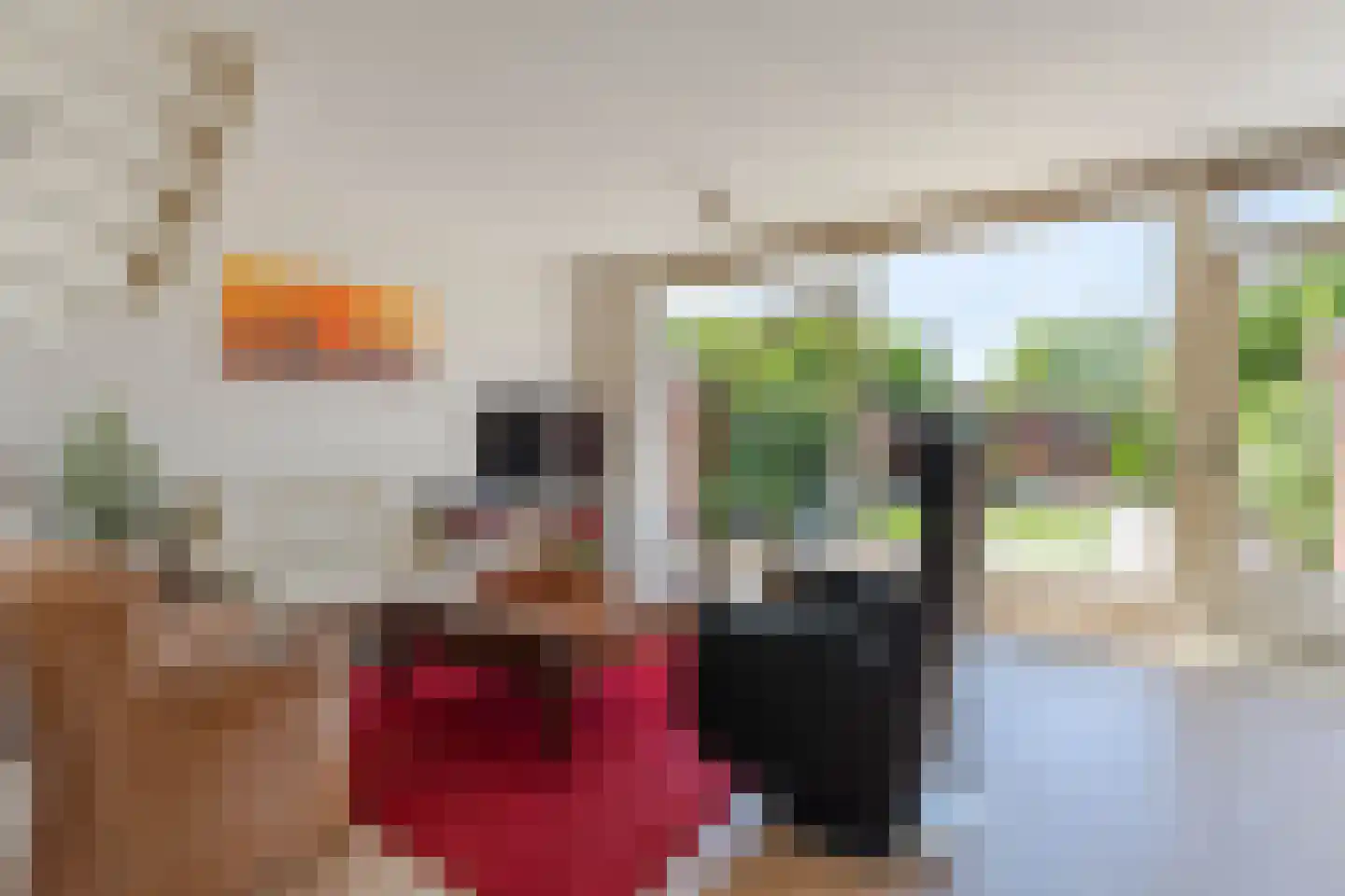 Mondriaanplantsoen 9 Hazerswoude-Dorp thumbnail 9