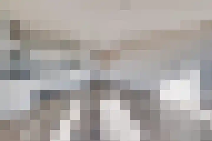 Mondriaanplein 8 Uden thumbnail 10