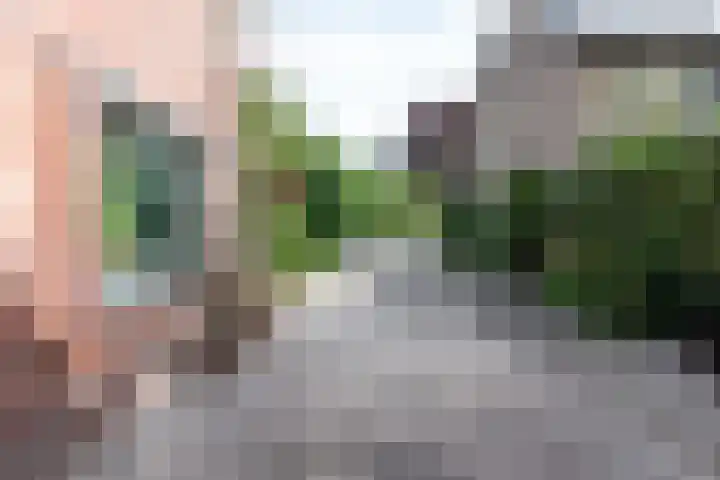 Mondriaanstraat 11 Apeldoorn thumbnail 10