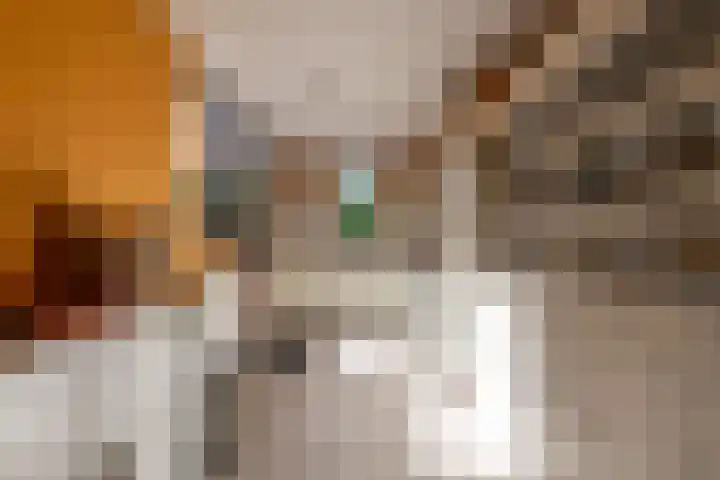 Mondriaanstraat 11 Apeldoorn thumbnail 20