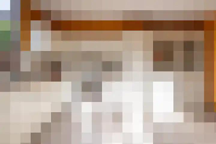 Mondriaanstraat 11 Apeldoorn thumbnail 21