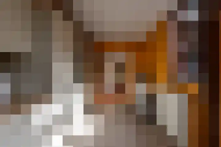 Mondriaanstraat 11 Apeldoorn thumbnail 22
