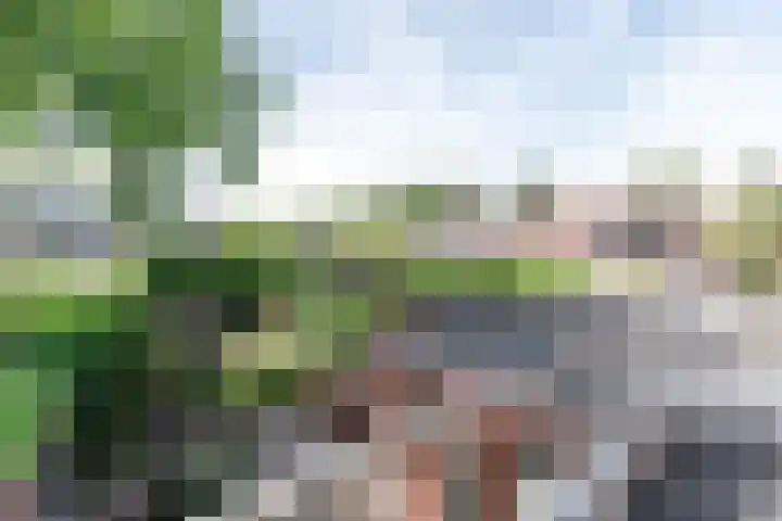 Mondriaanstraat 11 Apeldoorn thumbnail 32