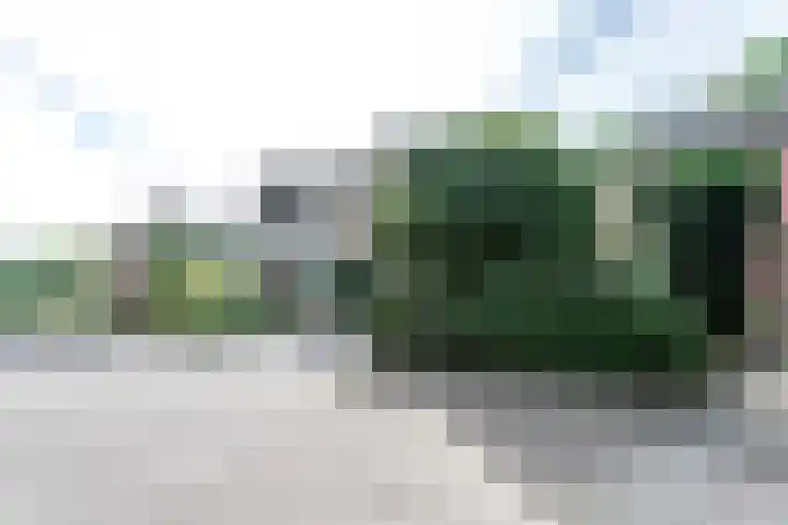 Mondriaanstraat 11 Apeldoorn thumbnail 4