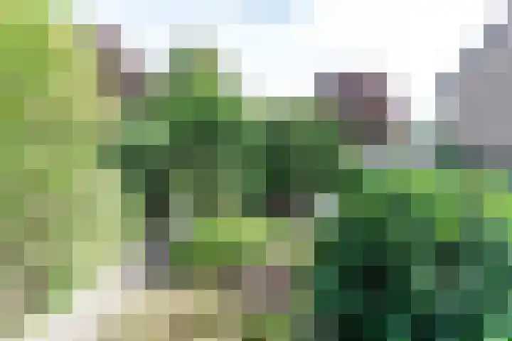 Mondriaanstraat 11 Apeldoorn thumbnail 6