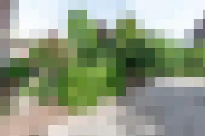 Mondriaanstraat 11 Apeldoorn thumbnail 7
