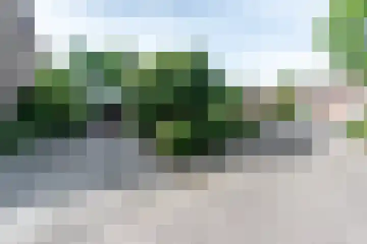 Mondriaanstraat 11 Apeldoorn thumbnail 8
