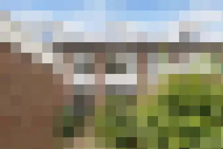 Mondriaanstraat 12 Apeldoorn thumbnail 21