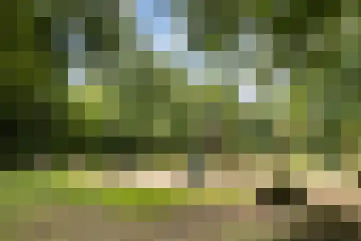 Mondriaanstraat 12 Apeldoorn thumbnail 24