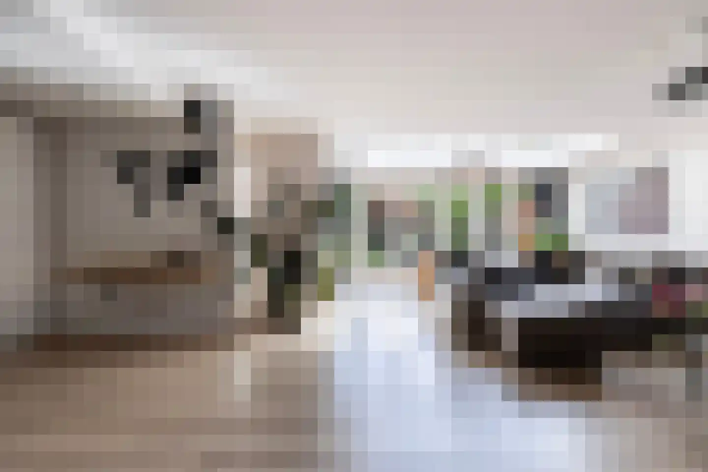 Mondriaanstraat 13 Apeldoorn thumbnail 9
