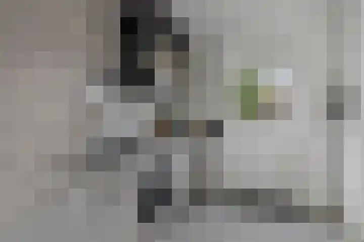 Mondriaanstraat 18 Roosendaal thumbnail 16