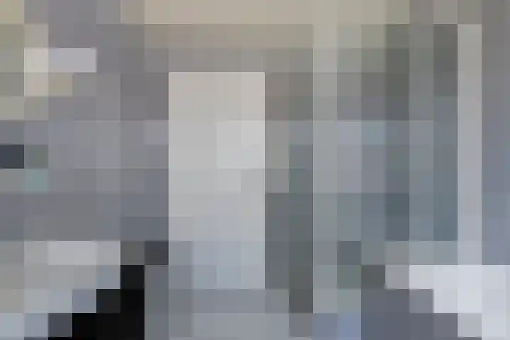 Mondriaanstraat 18 Roosendaal thumbnail 20