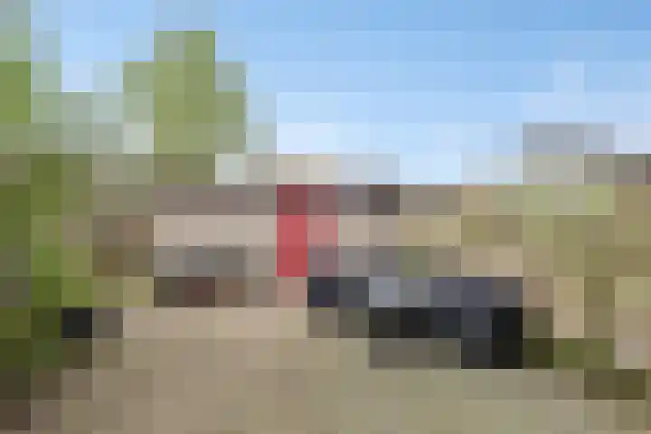 Mondriaanstraat 18 Roosendaal thumbnail 31