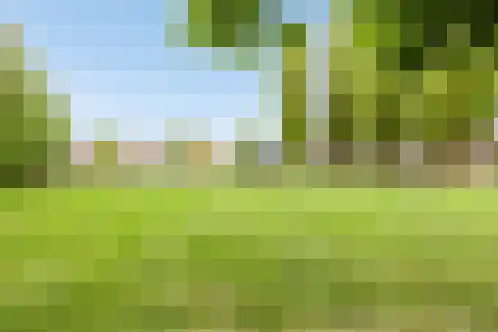 Mondriaanstraat 18 Roosendaal thumbnail 37