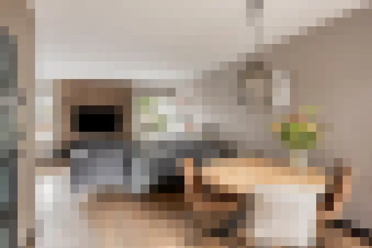 Mondriaanstraat 19 Drunen thumbnail 12