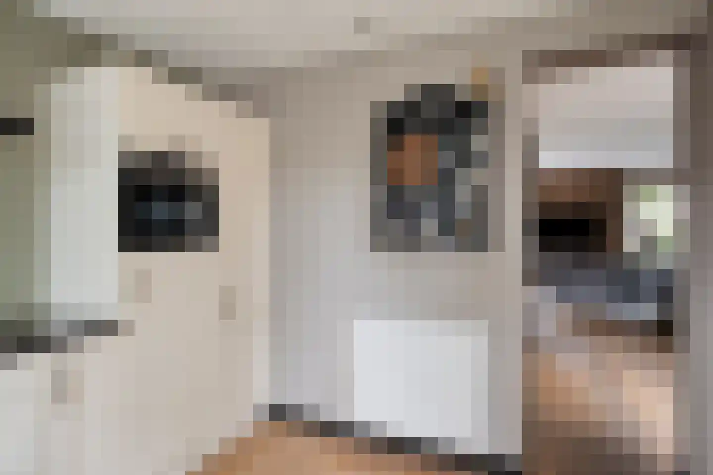 Mondriaanstraat 19 Drunen thumbnail 19