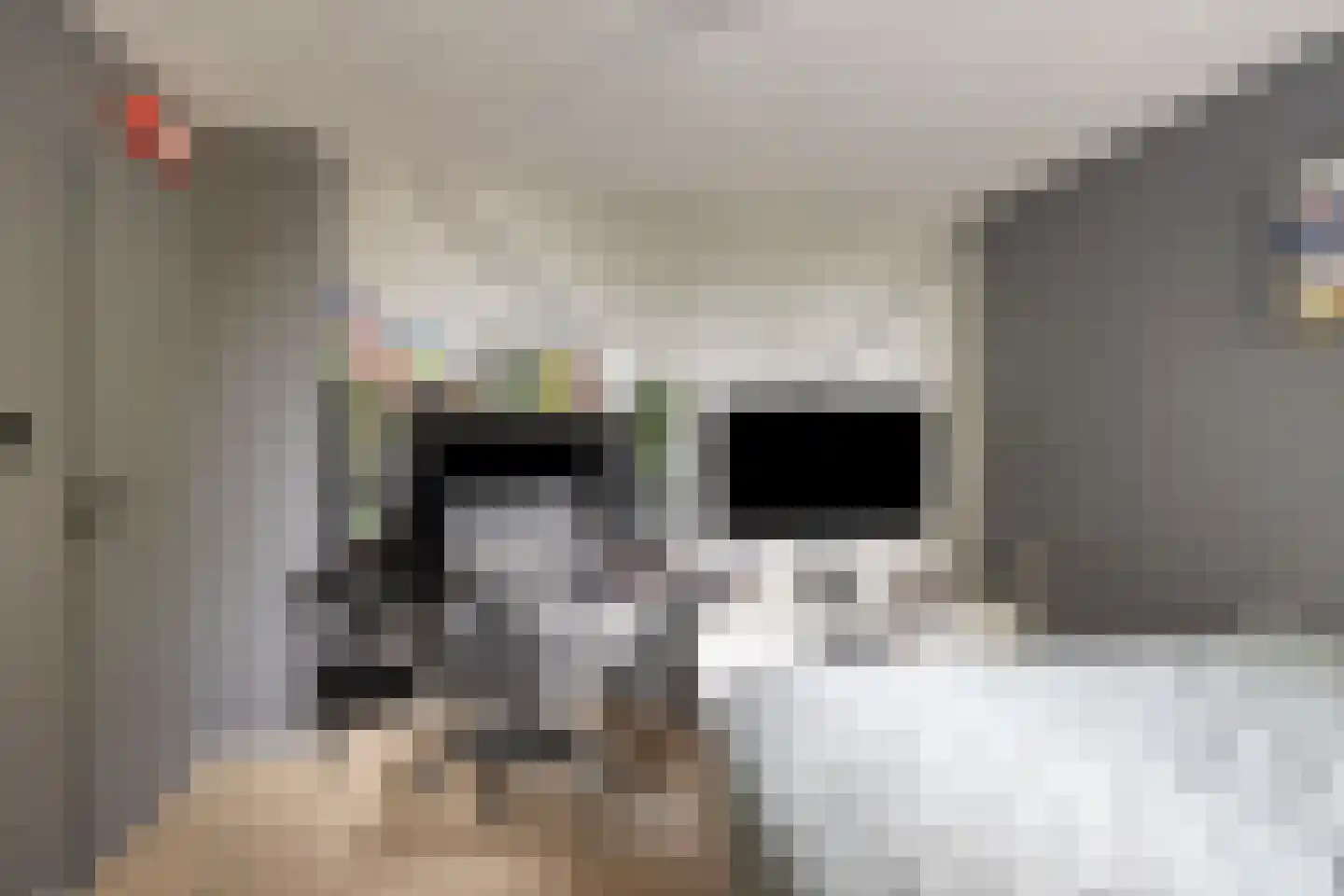 Mondriaanstraat 19 Drunen thumbnail 28