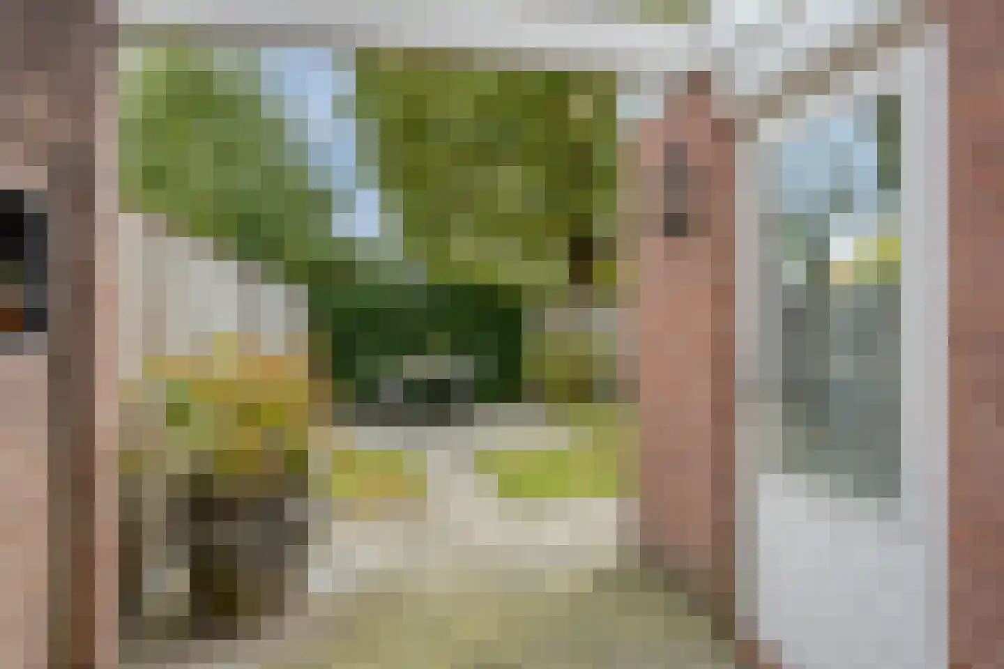 Mondriaanstraat 19 Drunen thumbnail 35