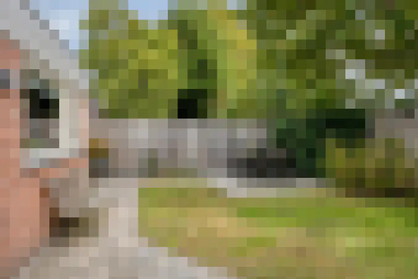 Mondriaanstraat 19 Drunen thumbnail 38