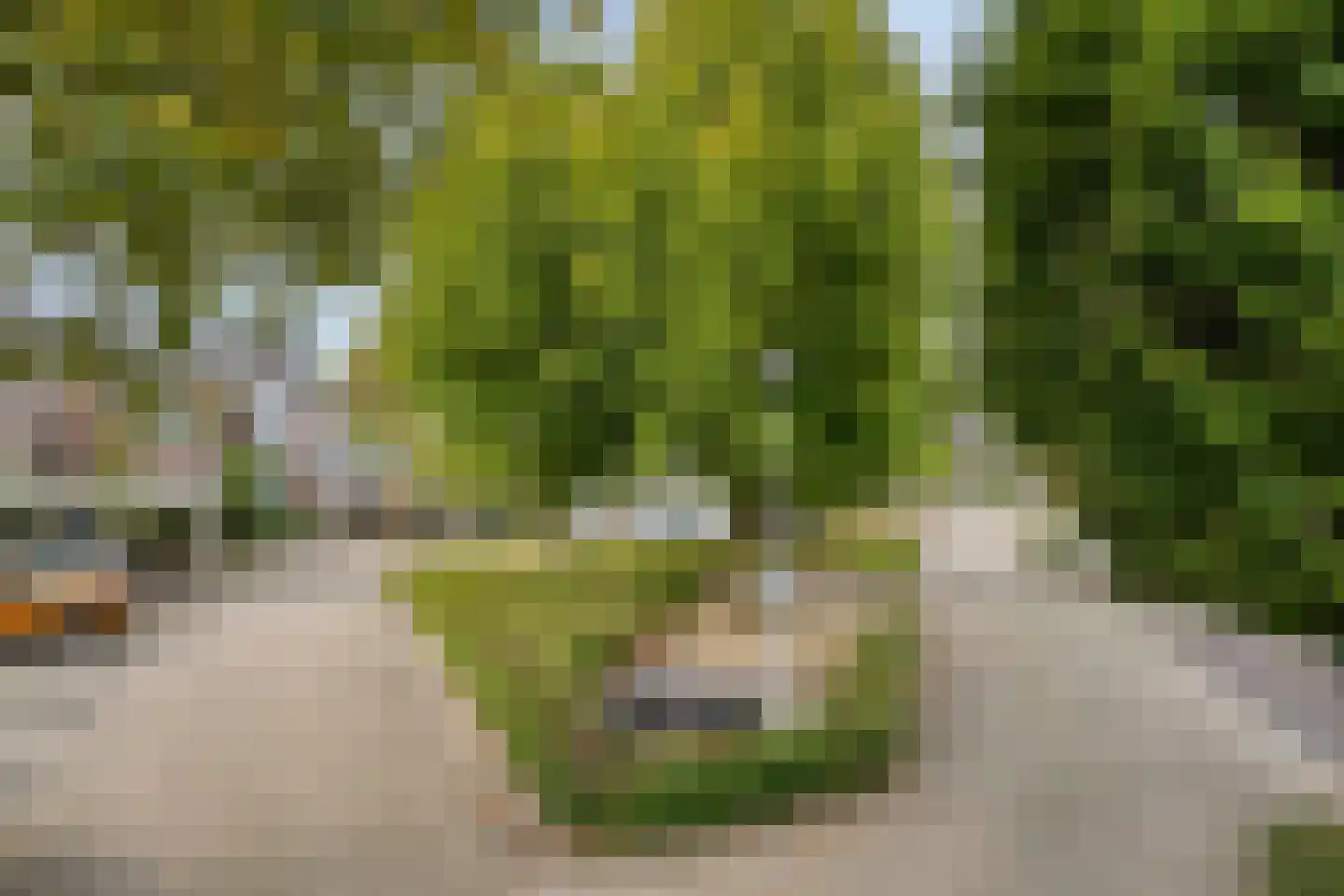 Mondriaanstraat 19 Drunen thumbnail 42