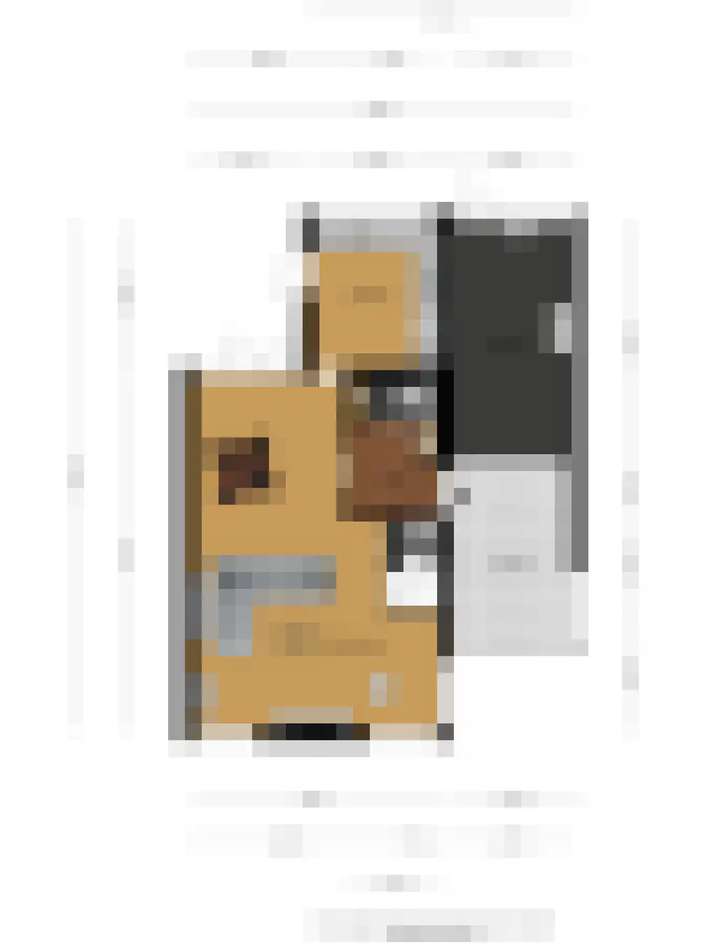 Mondriaanstraat 19 Drunen thumbnail 46