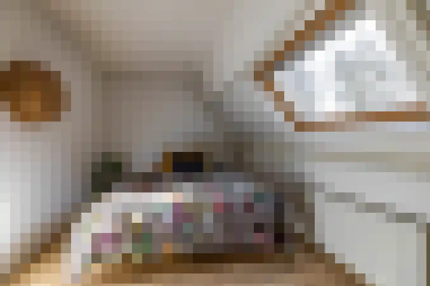 Mondriaanstraat 21 Groningen thumbnail 36