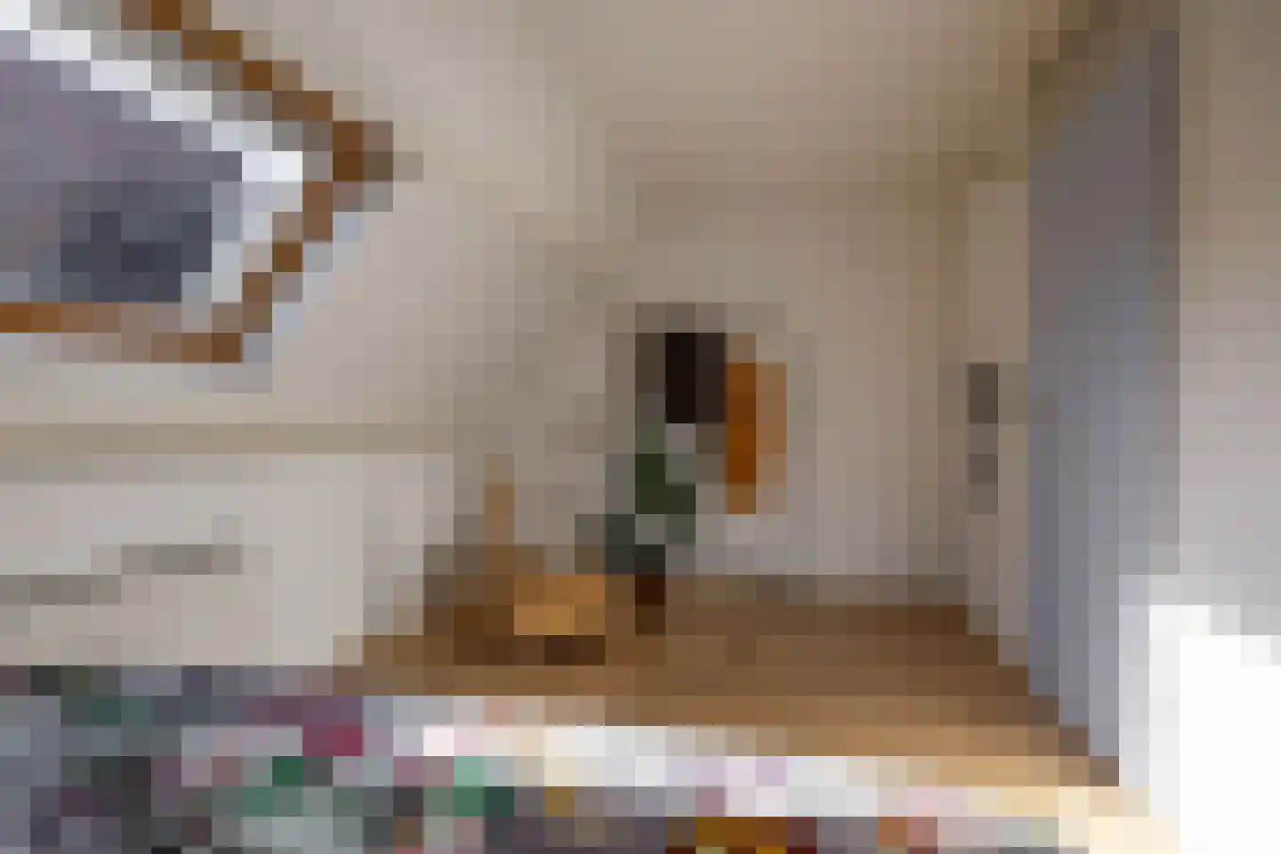 Mondriaanstraat 21 Groningen thumbnail 37