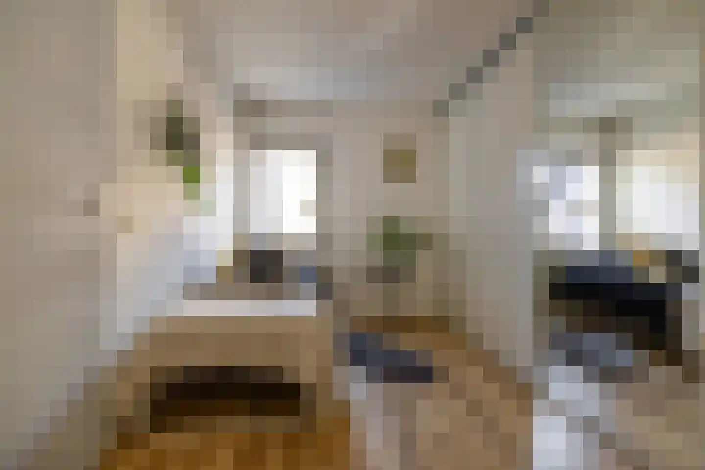 Mondriaanstraat 21 Groningen thumbnail 38