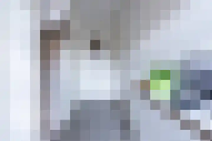 Mondriaanstraat 3 Apeldoorn thumbnail 12