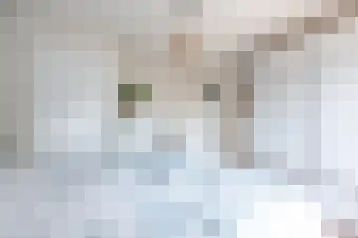 Mondriaanstraat 3 Apeldoorn thumbnail 28