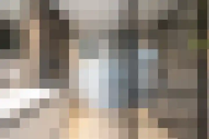 Mondriaanstraat 3 Apeldoorn thumbnail 32