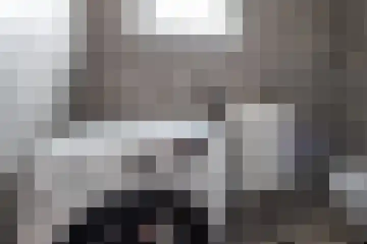 Mondriaanstraat 3 Apeldoorn thumbnail 33