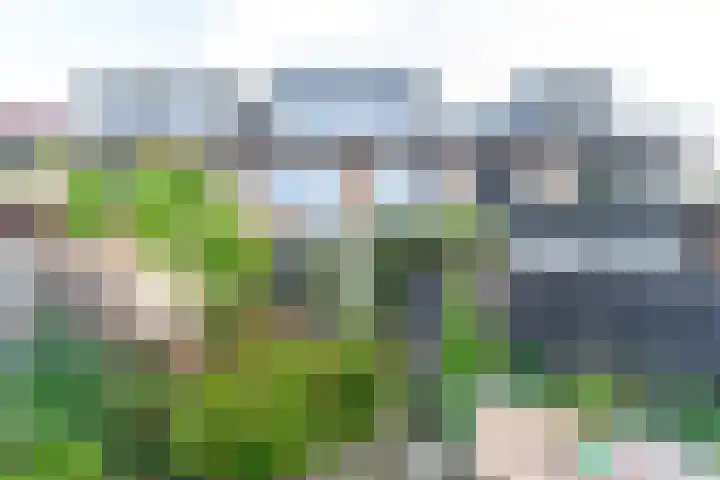 Mondriaanstraat 3 Apeldoorn thumbnail 43