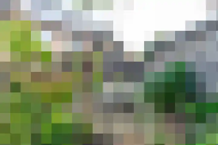 Mondriaanstraat 3 Apeldoorn thumbnail 47