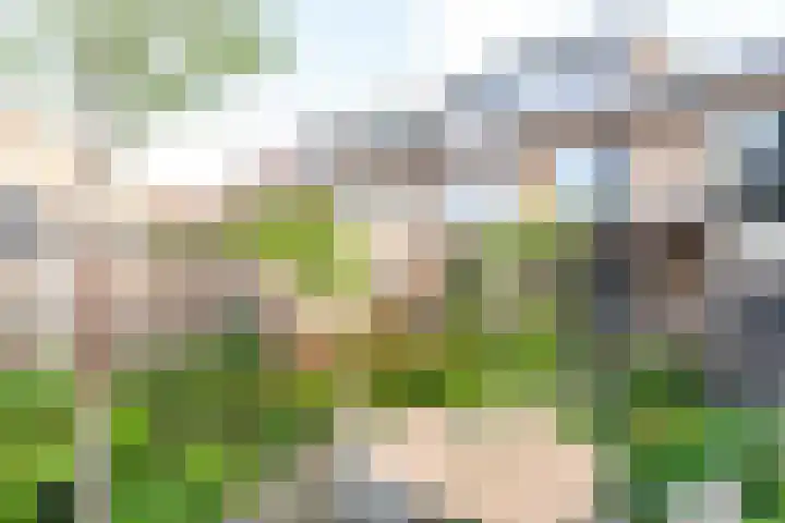 Mondriaanstraat 3 Apeldoorn thumbnail 48