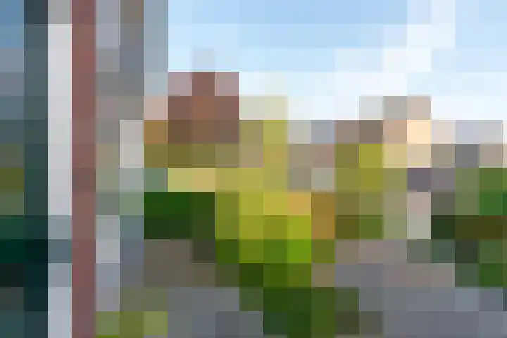 Mondriaanstraat 3 Apeldoorn thumbnail 8