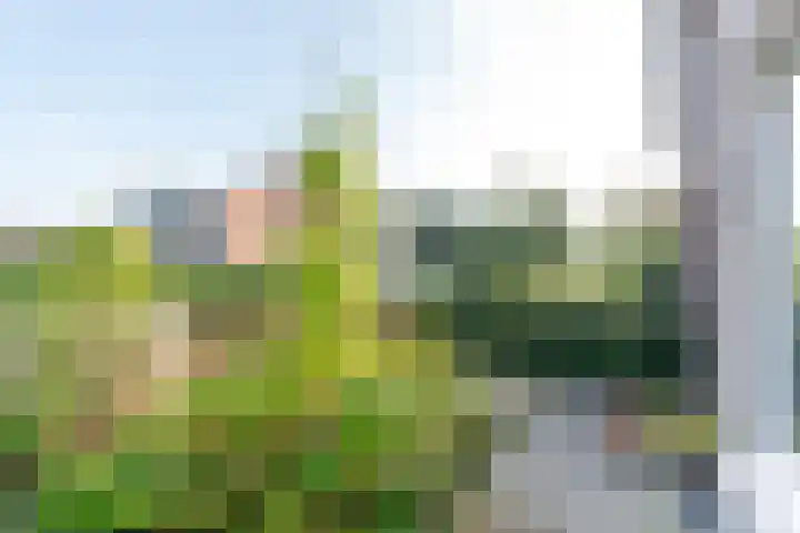 Mondriaanstraat 3 Apeldoorn thumbnail 9