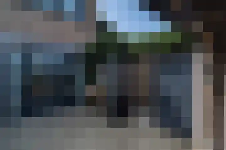 Mondriaanstraat 36 Roosendaal thumbnail 38