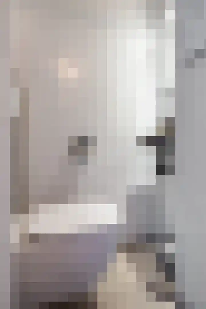 Mondriaanstraat 4 Landgraaf thumbnail 5