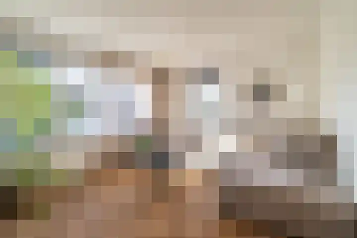 Mondriaanstraat 4 Landgraaf thumbnail 7